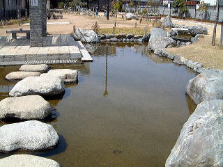 櫻井公園の池