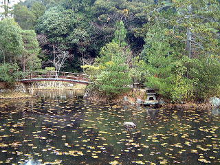 鯉沢の池